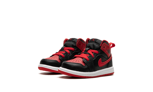 Air Jordan 1 Mid TD "Alternate Bred" DQ8425 060