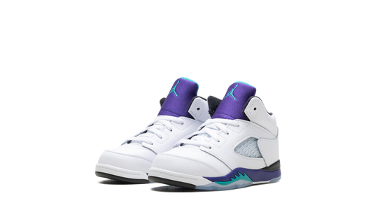 Jordan 5 Retro TD "Grape (2025)" HQ7981 100