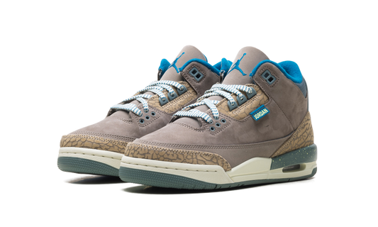 Air Jordan 3 GS "We Outside" IB7066 001