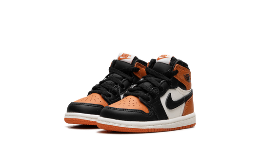 Air Jordan 1 Retro High OG TD "Shattered Backboard" FD1413 008