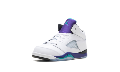 Jordan 5 Retro TD "Grape (2025)" HQ7981 100