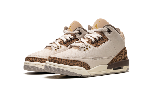 Air Jordan 3 GS "Palomino" DM0967 102