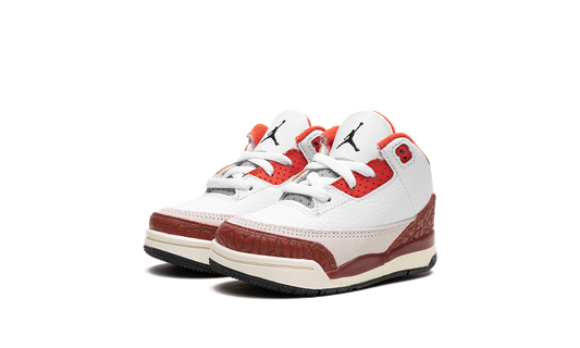 Air Jordan 3 TD "Dunk On Mars" DV7026 108