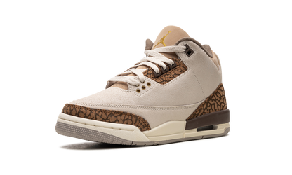 Air Jordan 3 GS "Palomino" DM0967 102