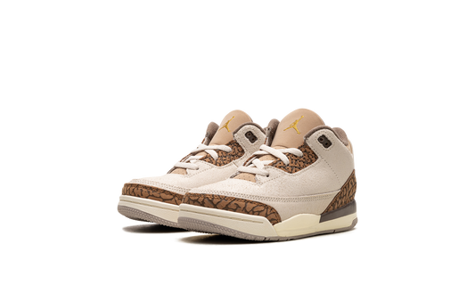 Air Jordan 3 TD "Palomino" DM0968 102