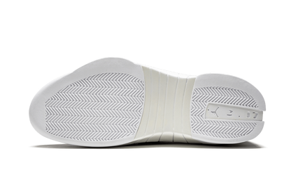 Air Jordan 15 Retro "Public School" 781485 123