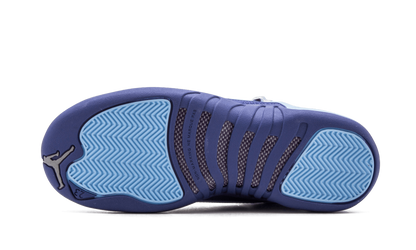 Air Jordan 12 Retro GS "Purple Dust" 510815 418