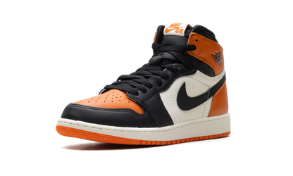 Air Jordan 1 Retro High OG GS "Shattered Backboard" FD1437 008