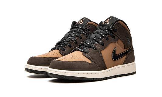Air Jordan 1 Mid SE GS "Earth Tone" DC7248 200