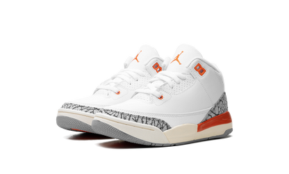 Air Jordan 3 Retro PS "GEORGIA PEACH" FQ9174 121