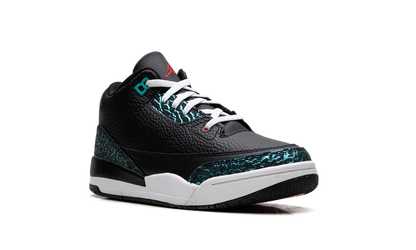 Air Jordan 3 PS "Moto" FV5438 001