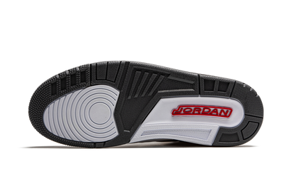 Air Jordan 3 Retro "Cool Grey" CT8532 012