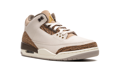 Air Jordan 3 "Palomino" CT8532 102