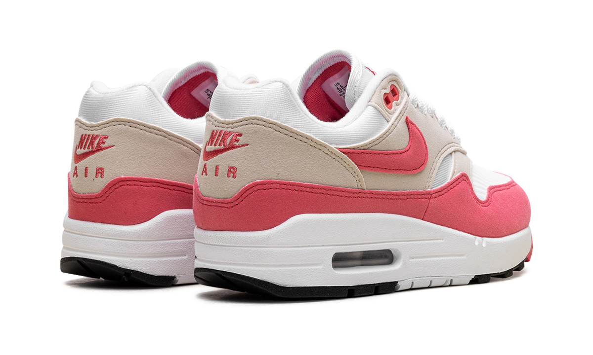 Air Max 1 WMNS "Aster Pink" DZ2628 110