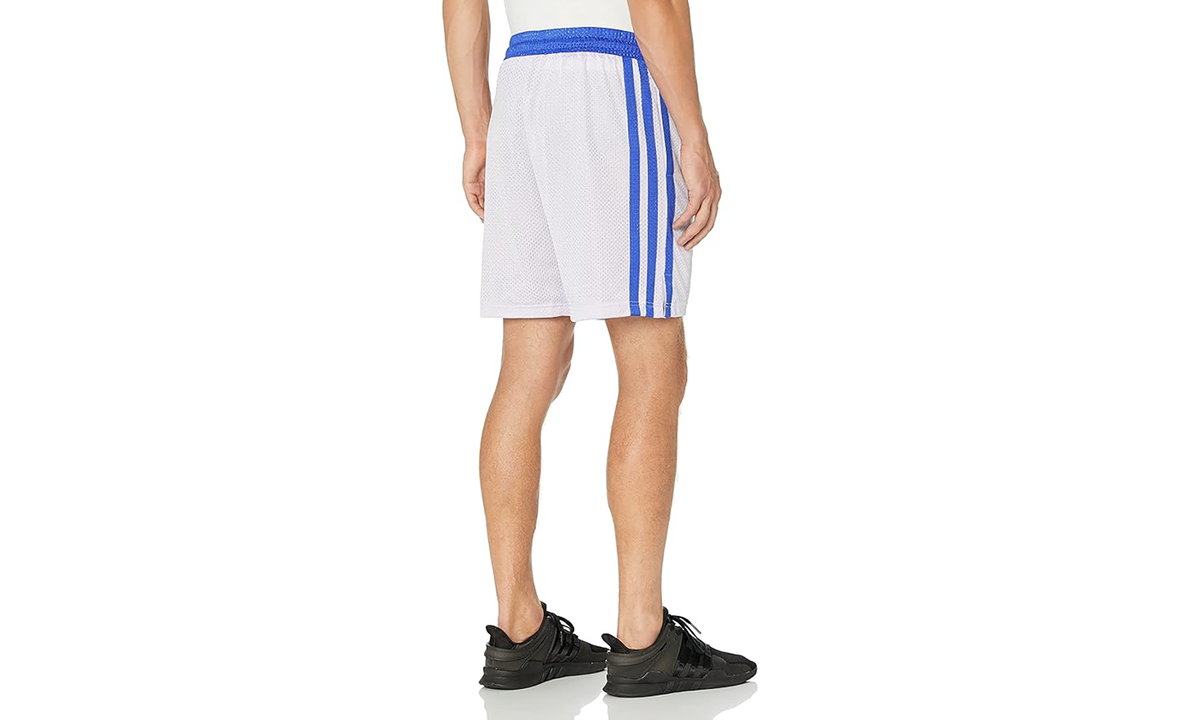 Summer Legend Basketball Shorts "Purple Tint" H24984