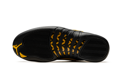 Air Jordan 12 Retro "Black Taxi" CT8013 071