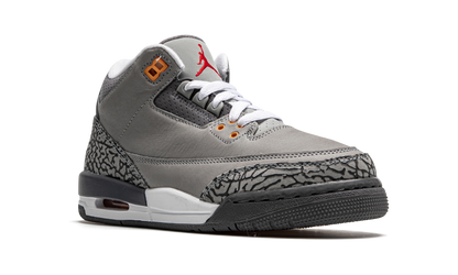 Air Jordan 3 Retro GS "Cool Grey" 398614 012