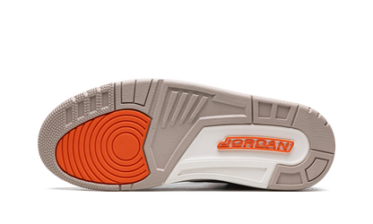 Air Jordan 3 Retro "Desert Elephant" CT8532 008