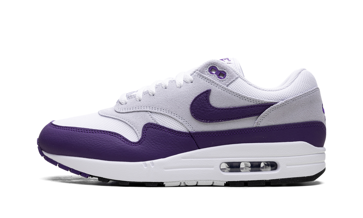 Air Max 1 SC "Field Purple" DZ4549 101